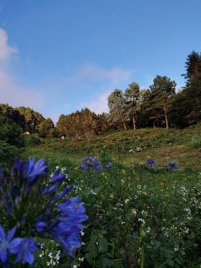 El Pital Ecolodge San Ignacio Zewnętrze zdjęcie